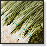 scallions